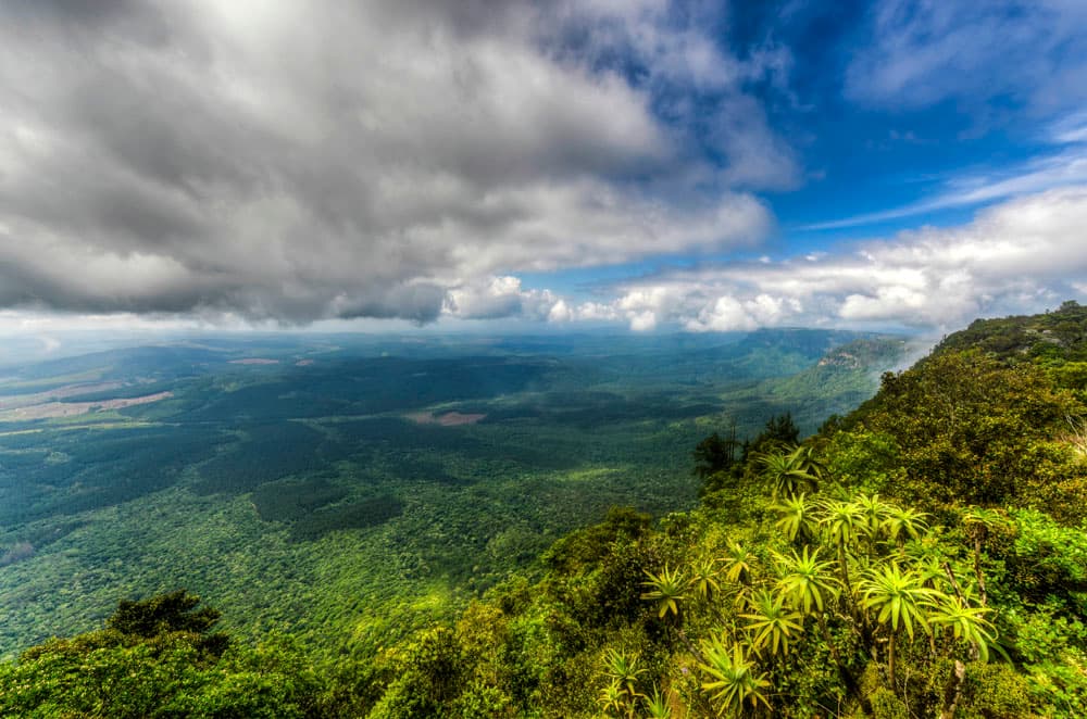 The view over the Lowveld from God's Window, fifteen minutes from Summit Lodge in Graskop