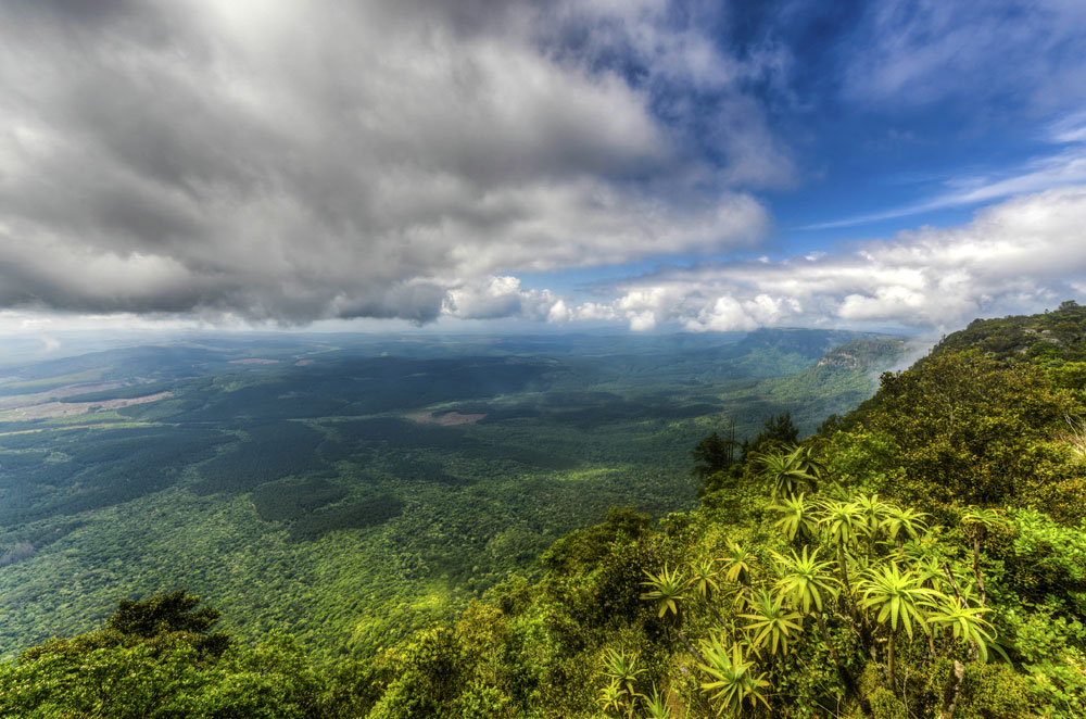 The view over the Lowveld from God's Window, fifteen minutes from Summit Lodge in Graskop