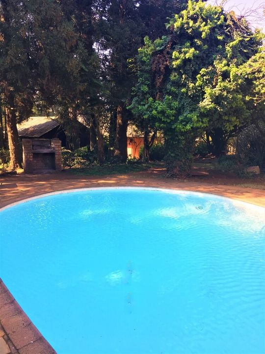 The pool and lawn seen from the far side